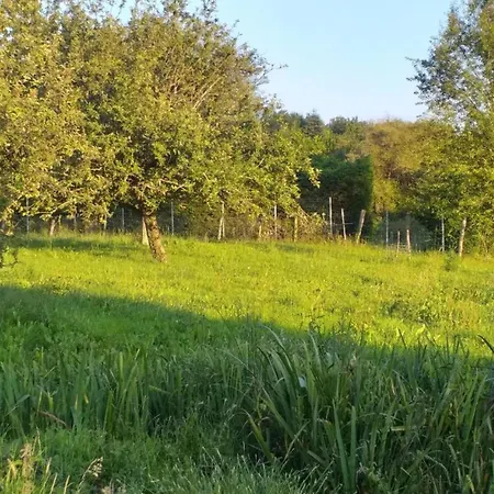 In Dordogne With Accessible Terrace 度假居