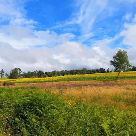 度假居 In Dordogne With Accessible Terrace Roussines