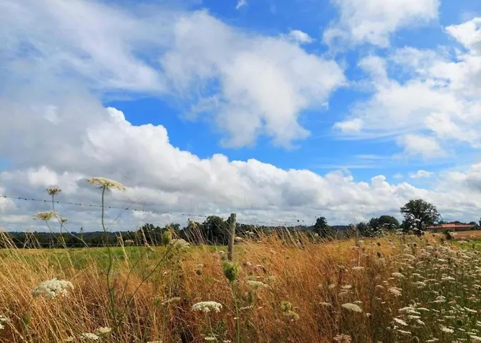 In Dordogne With Accessible Terrace *