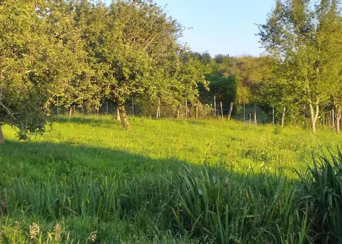 In Dordogne With Accessible Terrace Сasa de vacaciones