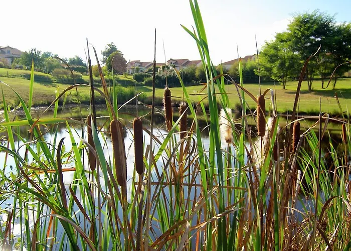 In Dordogne With Accessible Terrace